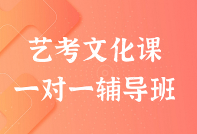 成都艺考文化课一对一辅导