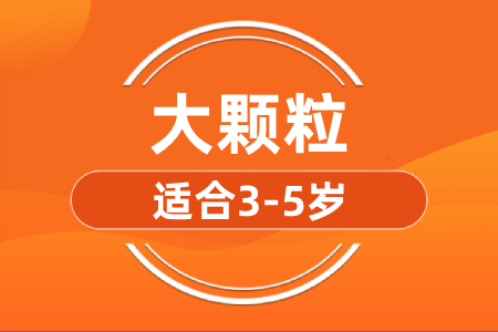 乐博乐博大颗粒课程介绍
