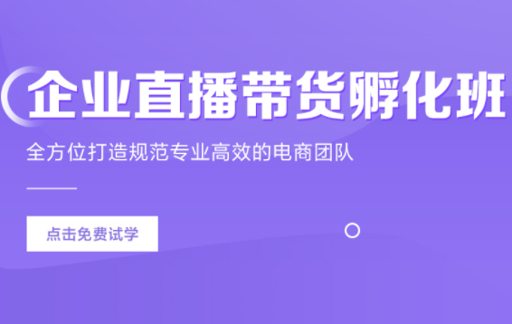 汇学教育企业直播带货主播孵化班